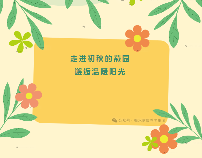 走进初秋的燕园，，，，，邂逅温暖阳光