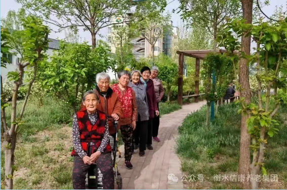 走进衡水信康养老·燕园，，，体验纷歧样的养老生涯---平房小院，，，乐享悠然