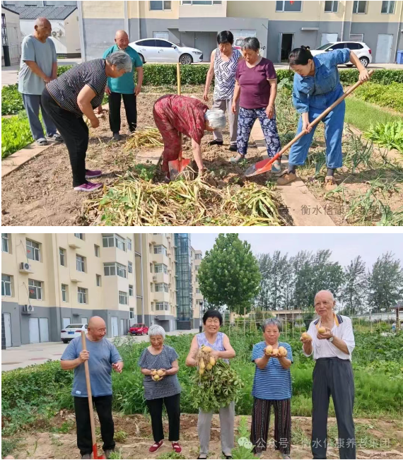走进衡水信康养老·燕园，，，体验纷歧样的养老生涯---平房小院，，，乐享悠然