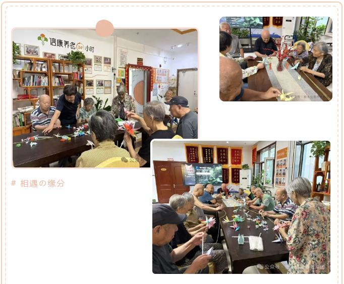 银龄巧手，，，，鹤寄温情